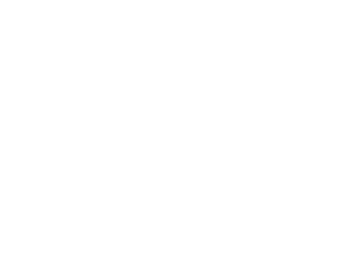 Expertise Best Homeowners Insurance Agencies in Albany Award Logo Inverse